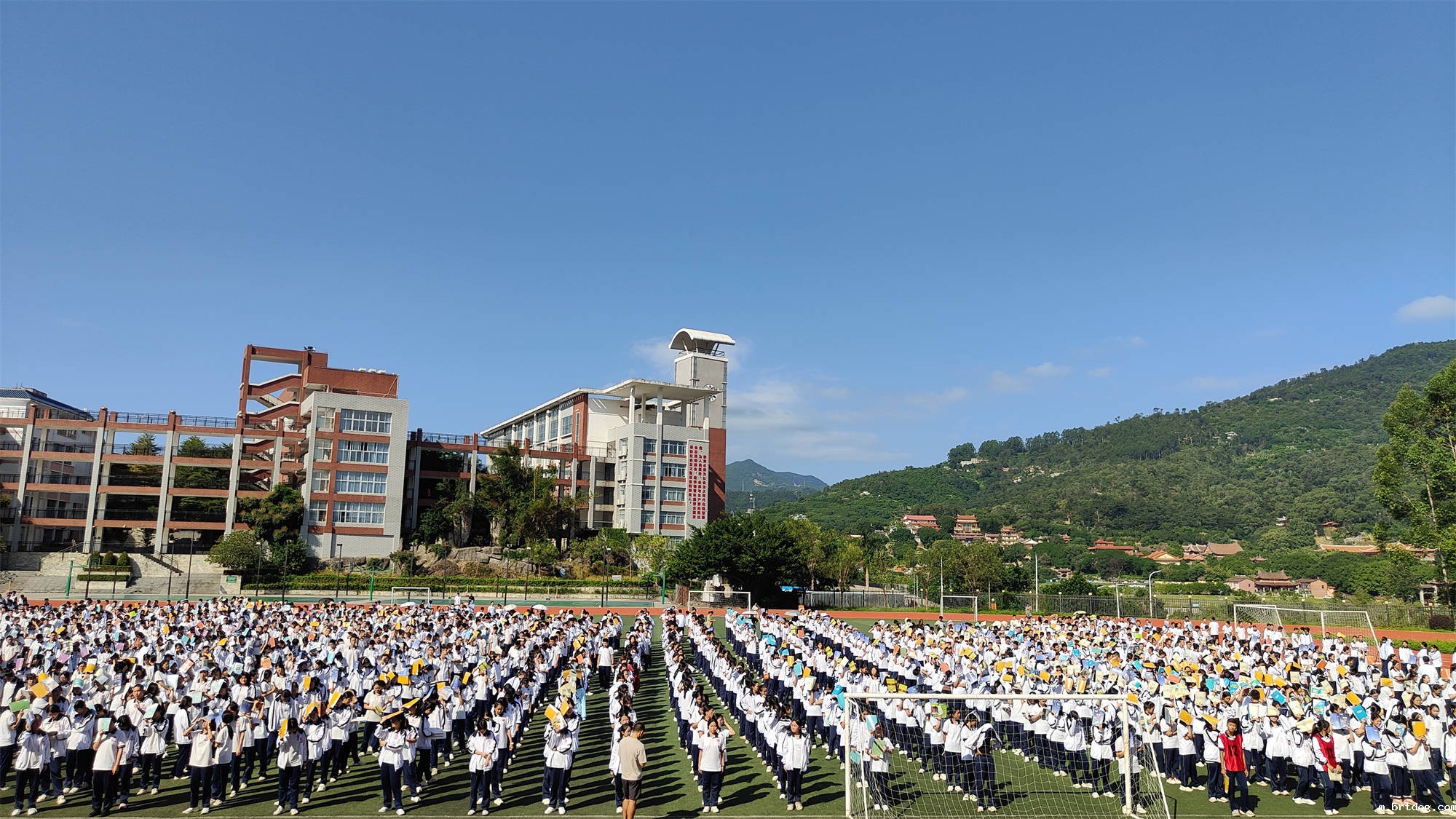 mmexport1728978865161.jpg mmexport1728978865161.jpg