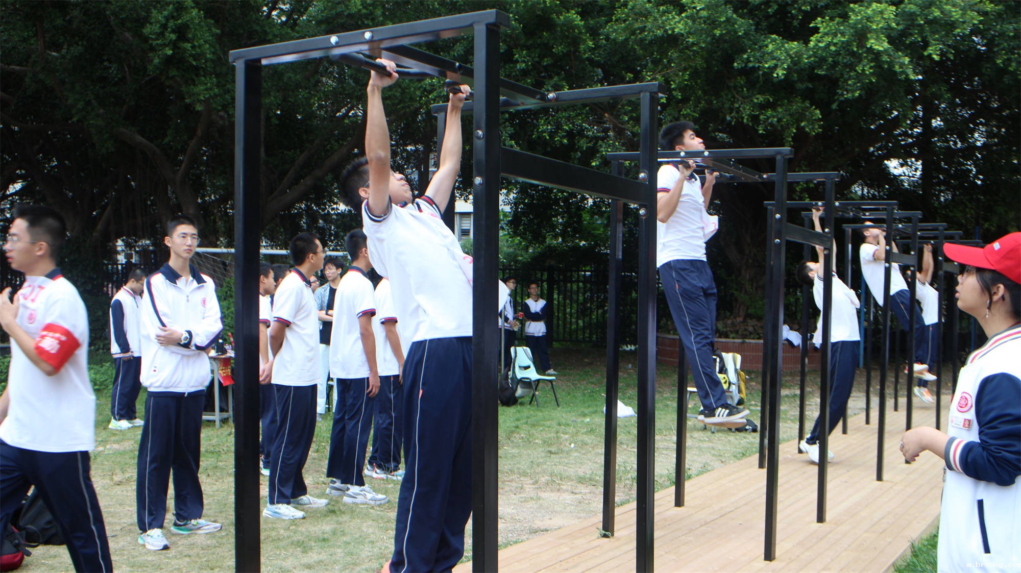 IMG_0805.jpg IMG_0805.jpg